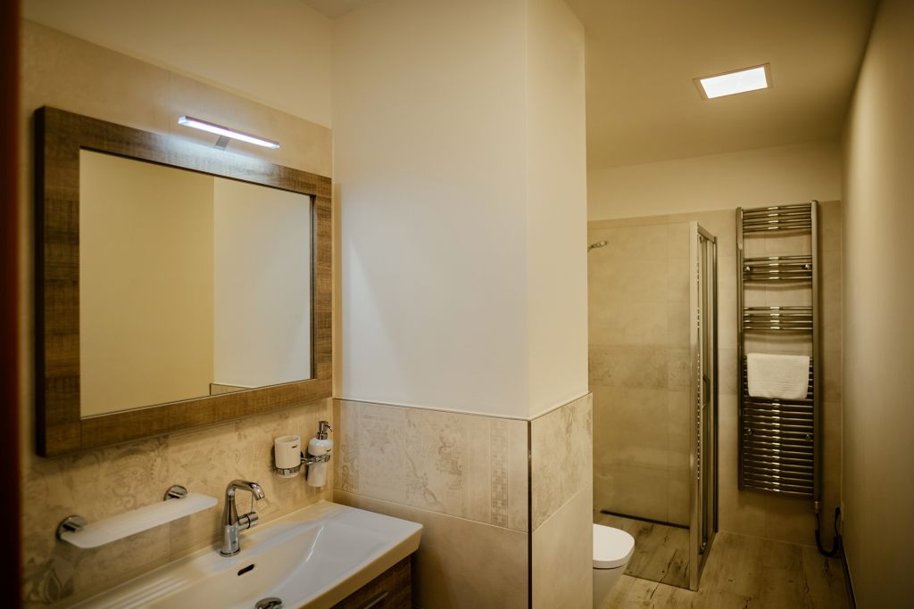 family suite | bathroom | shower, free toiletries, hair dryer, towels