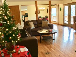 TV, fireplace, DVD player, video library