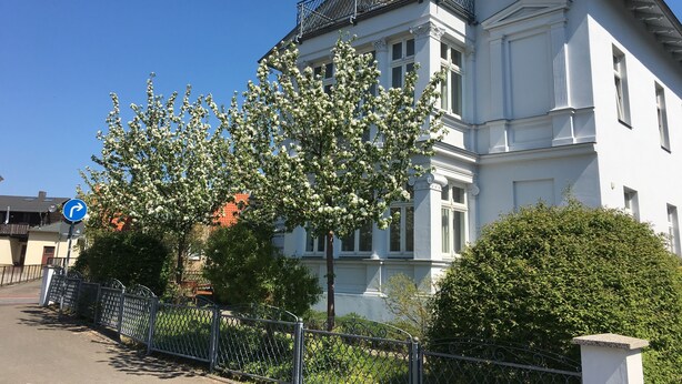 Un bâtiment blanc doté d’un balcon, entouré d’arbres et d’une clôture en métal.