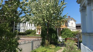 Une rue bordée d’arbres, avec un banc et un bâtiment blanc sur lequel on peut lire l’inscription « LADY’S ».