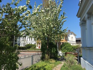 Garden - Villa Franz (Heringsdorf)
