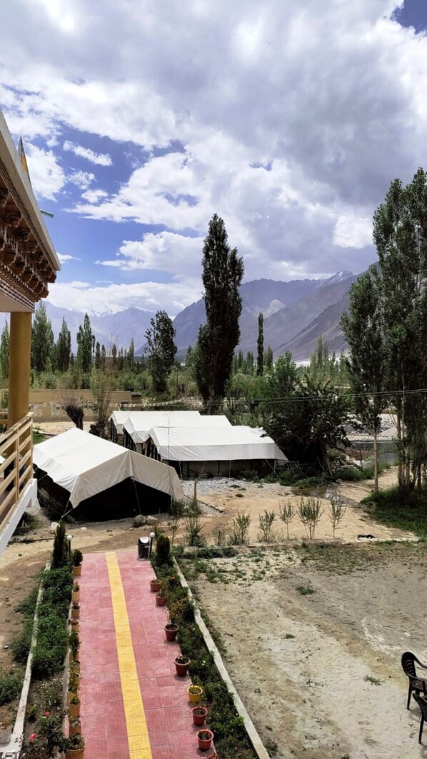 View from property - Hotel Nubra Delight and Camps (Leh)