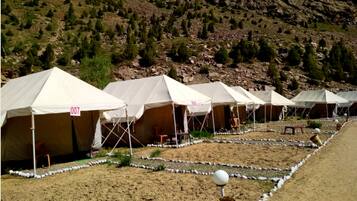 Standard Tent, 1 Double Bed, Garden View | Terrace/patio