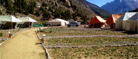 A campsite with tents and a dirt path.