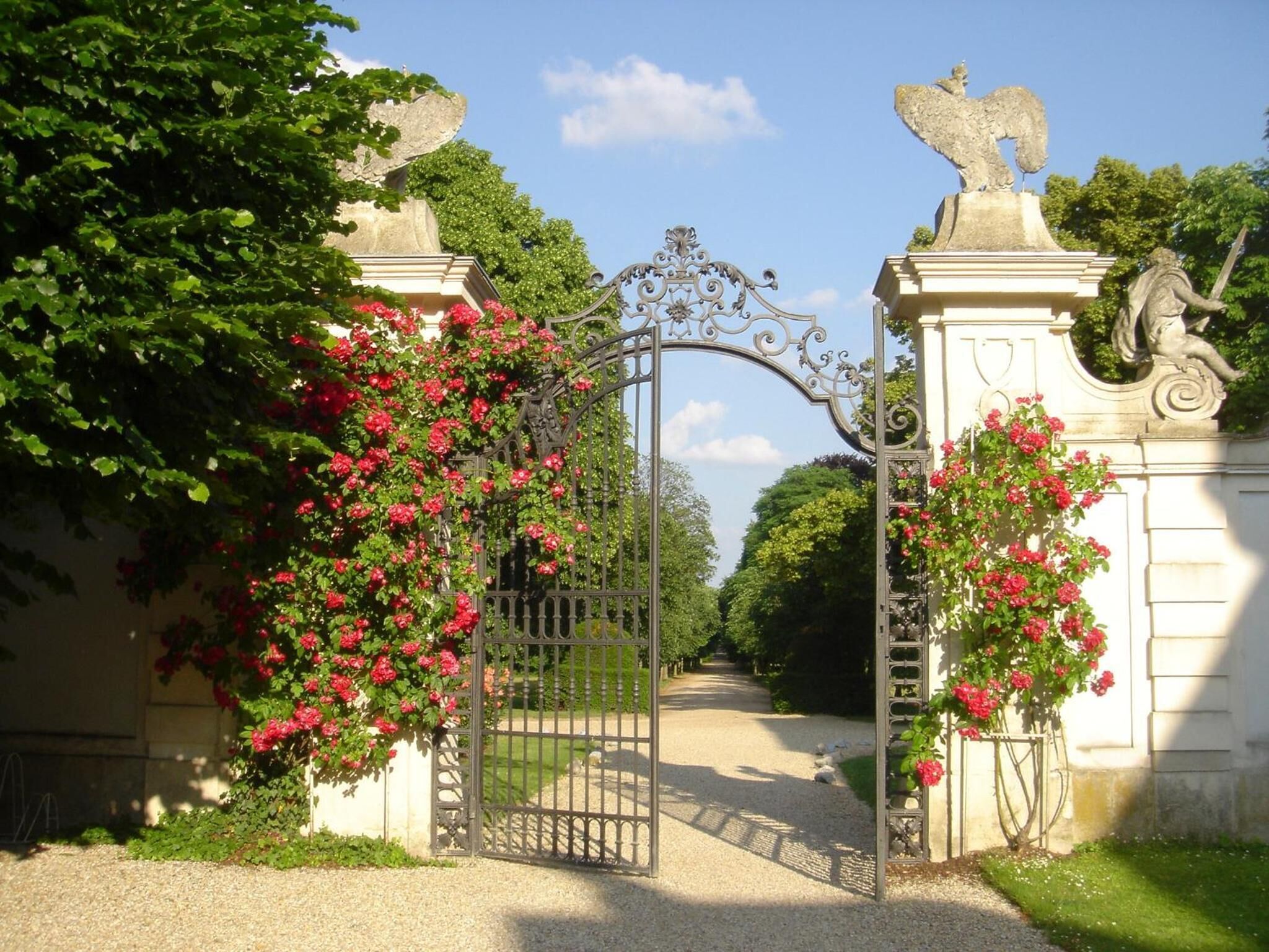 A gated entrance with a wrought iron gate, surrounded by lush greenery and flowering plants.
