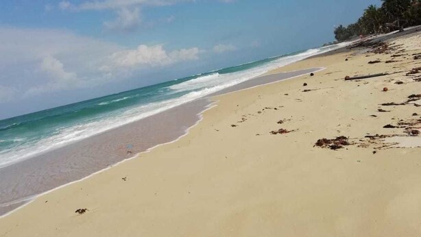 Una playa con cielos despejados y olas tranquilas.