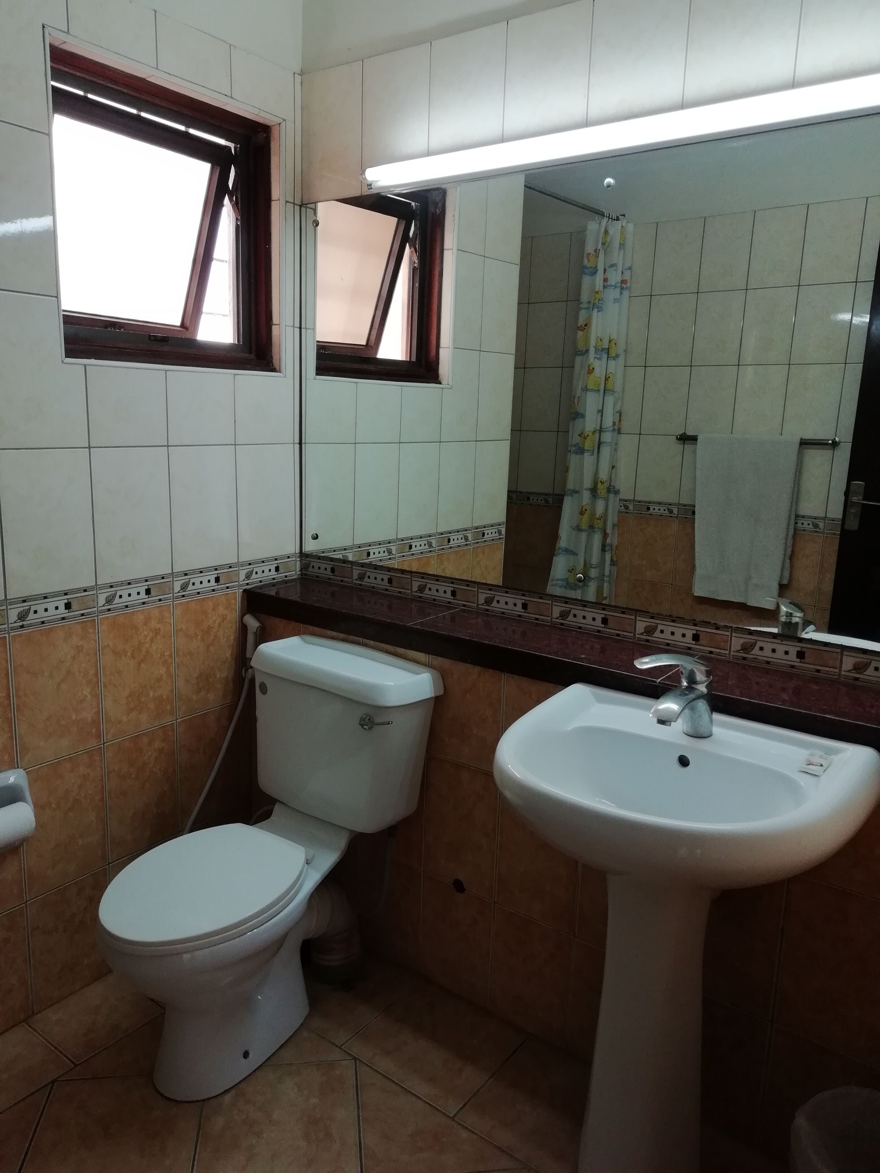 A bathroom with a toilet, sink, and a window.