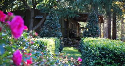 Mount Tomah Huntington Lodge & Cottage - Le forfait complet