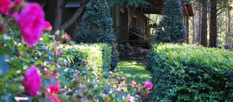 Mount Tomah Huntington Lodge & Cottage - The complete escape package
