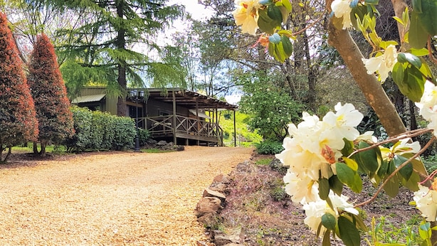 Un sendero de grava que lleva a una estructura de madera con un porche cubierto, rodeada de árboles y plantas en flor.