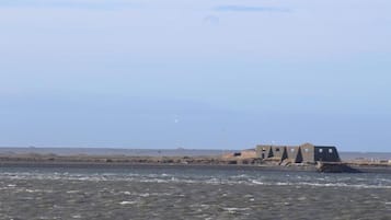 Strönd
