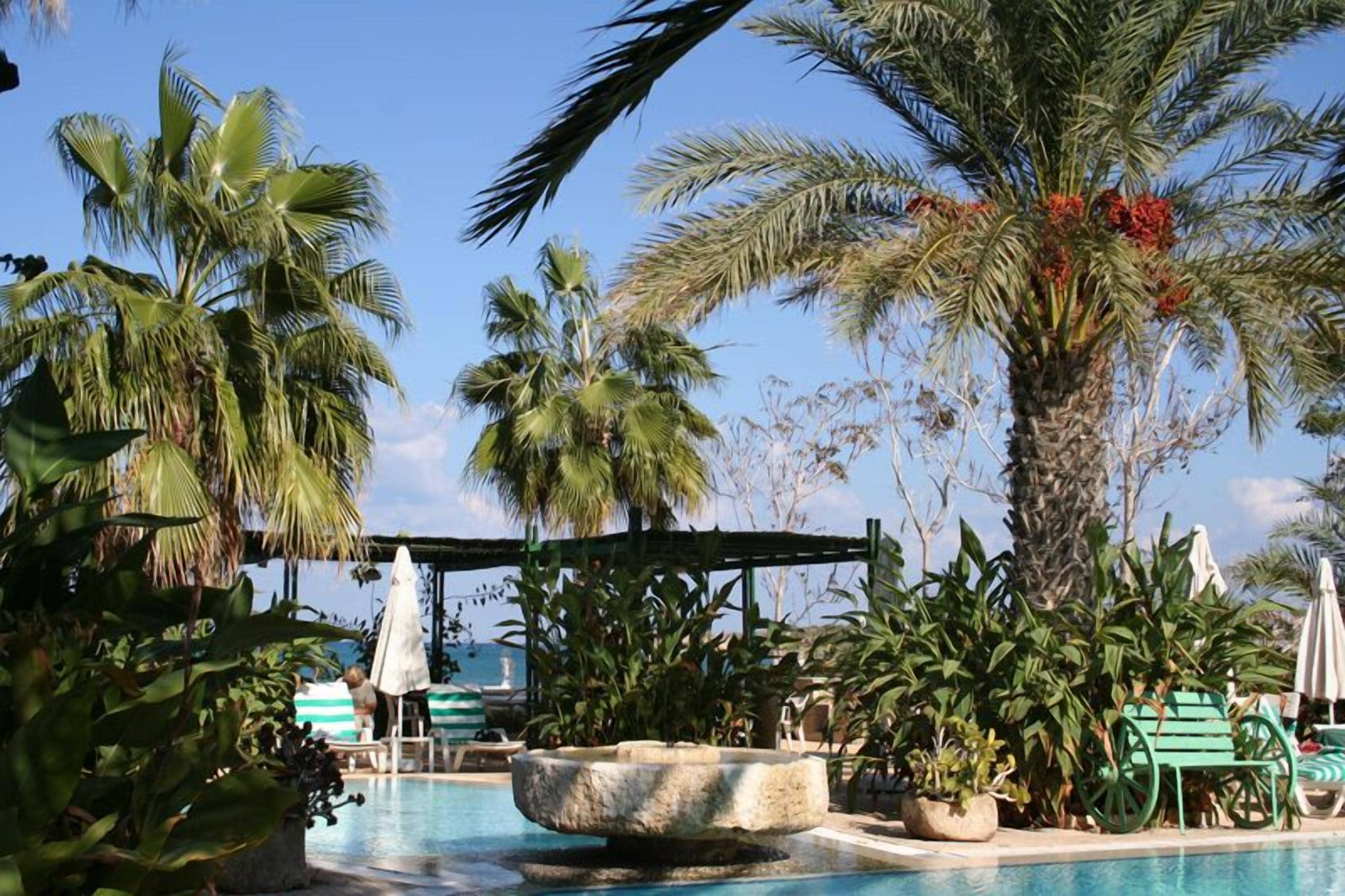 Sezonluk açık havuz, şezlonglar 