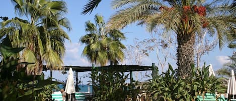 Sezonluk açık havuz, şezlonglar