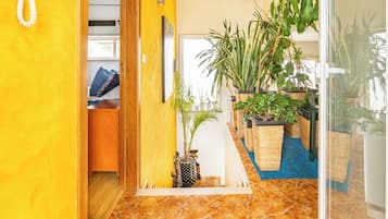 Sábanas de algodón egipcio, ropa de cama de alta calidad y minibar