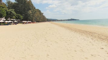 Plage Ă  proximitĂ©, 5 bars de plage, pĂȘche sur place