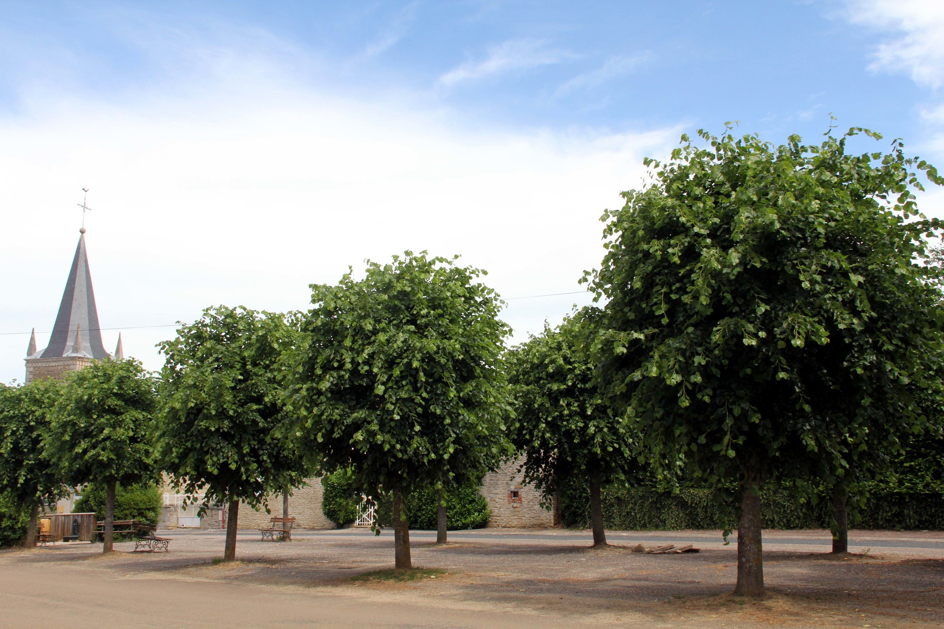 Une zone pavée avec des arbres et un bâtiment doté d’un toit en forme de flèche.