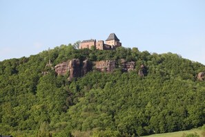 Un castillo en una colina con un bosque verde y frondoso.