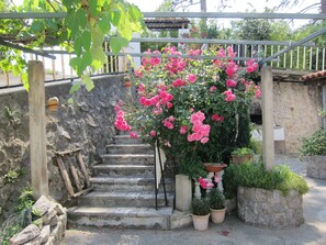 A stone staircase with pink roses and potted plants. - Nada Apartments (Opatija)