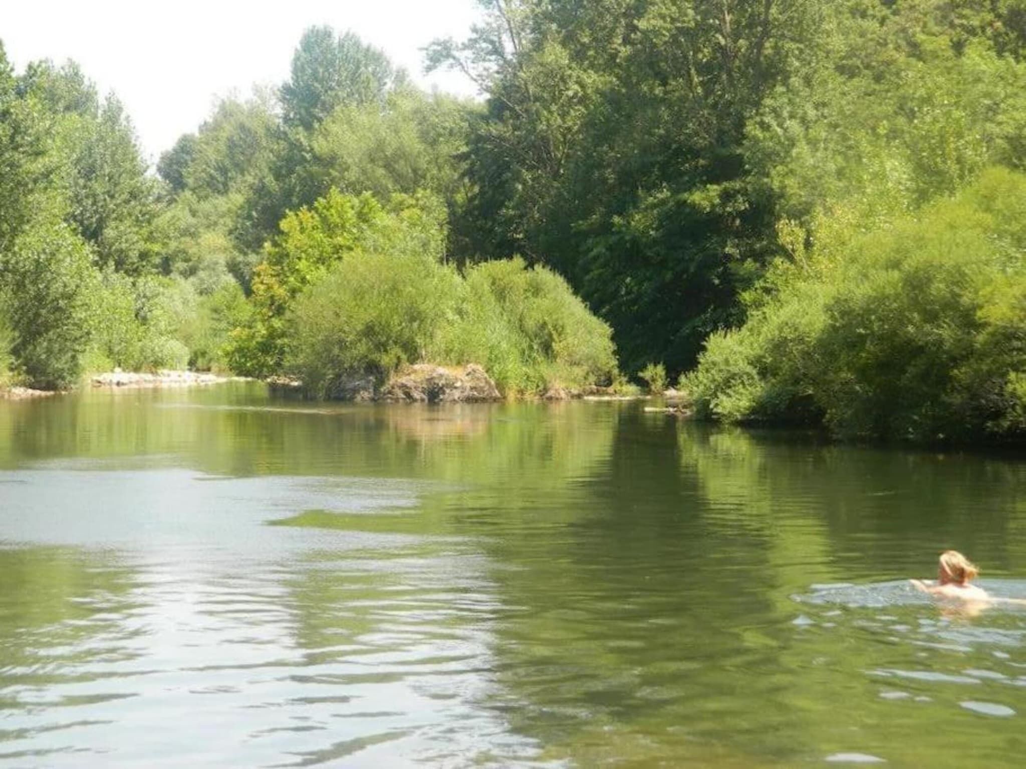 A calm river surrounded by dense greenery.