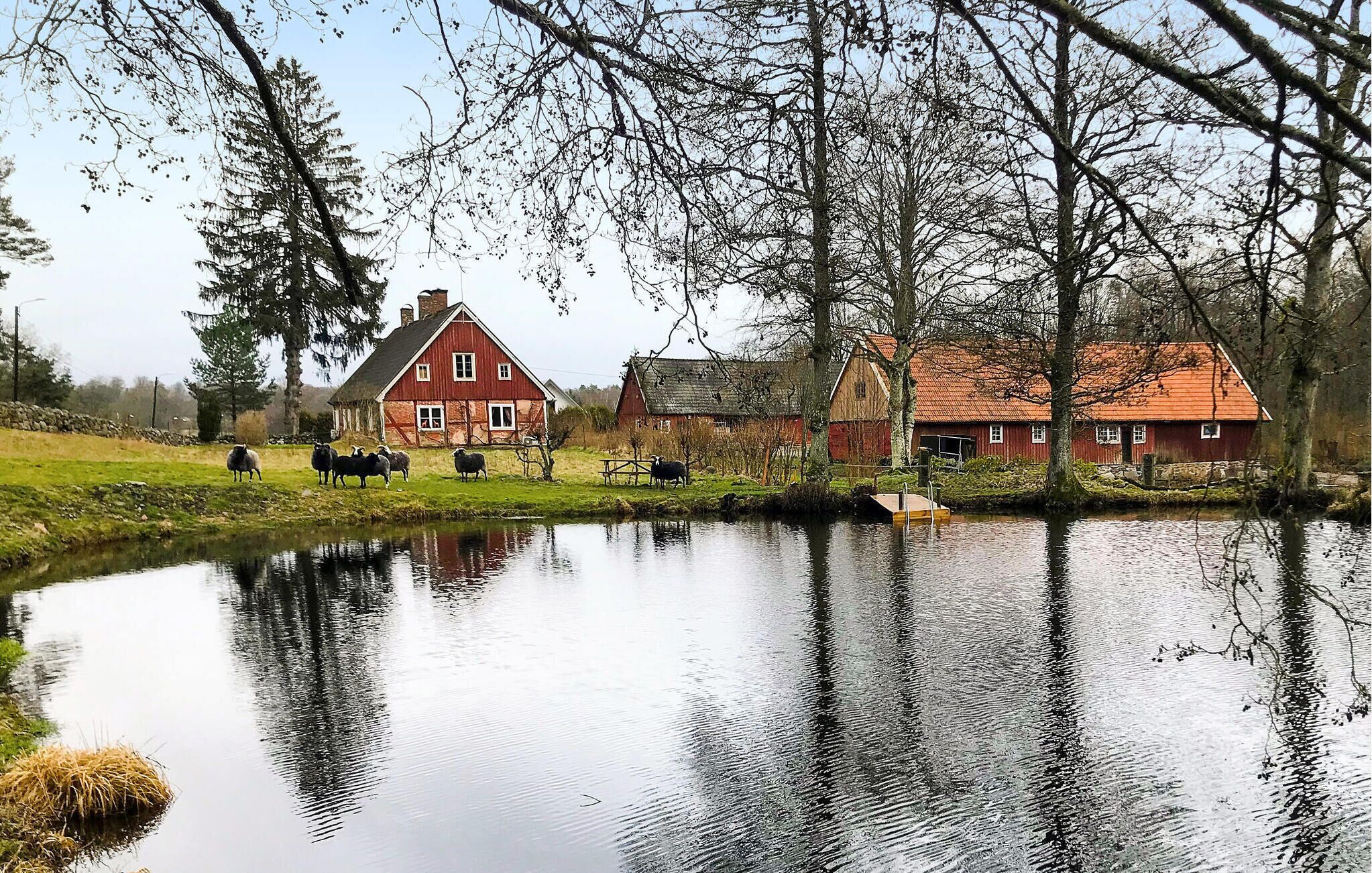 A rural landscape with a pond, a red barn, and a house with a thatched roof.