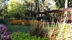 En trädgård med olika växter och en pergola av trä.
