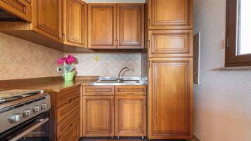 Kühlschrank, Ofen, Herdplatte