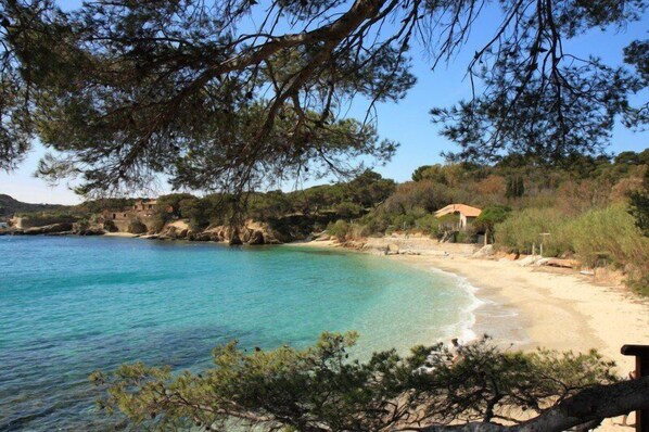 Plage à proximité