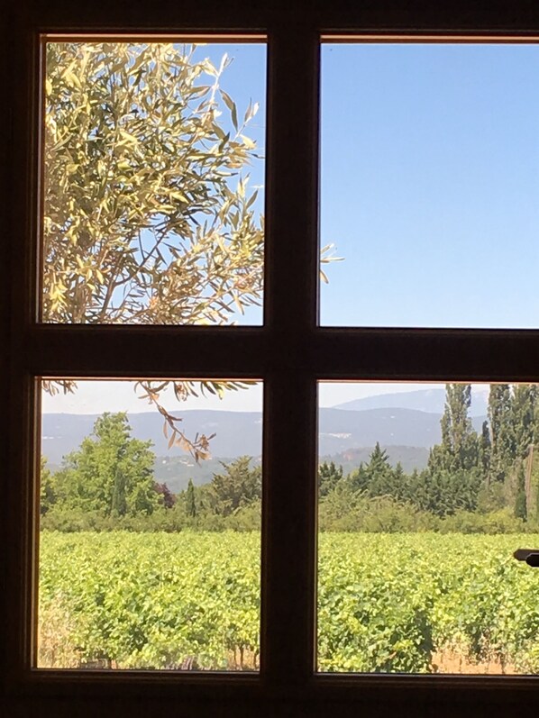 Interior - Renovated former stable • Terrace with a view • Bonnieux (Bonnieux)