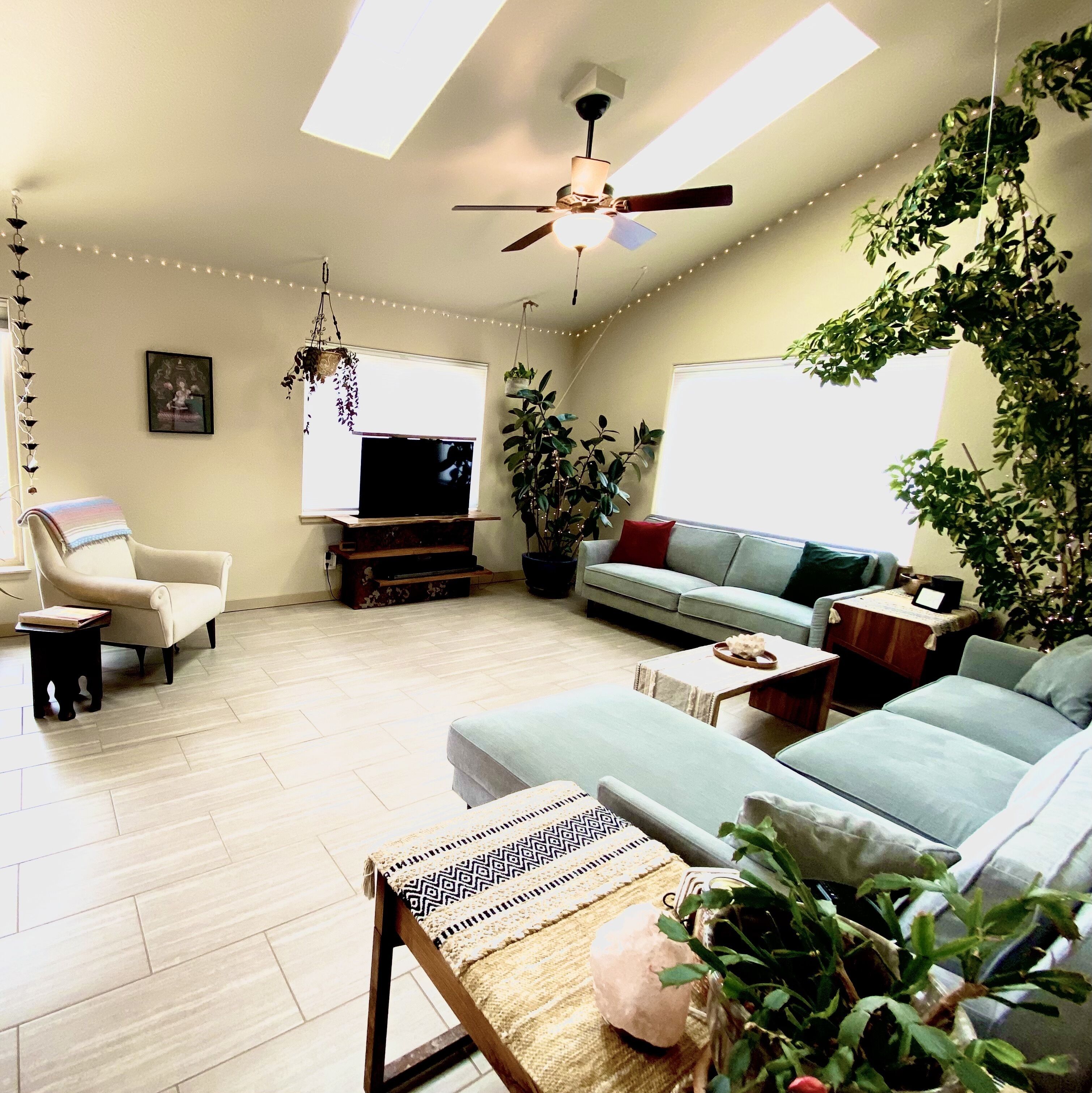 Una sala de estar con ventilador de techo, televisor de pantalla plana, sofá, sillón y varias plantas en macetas.