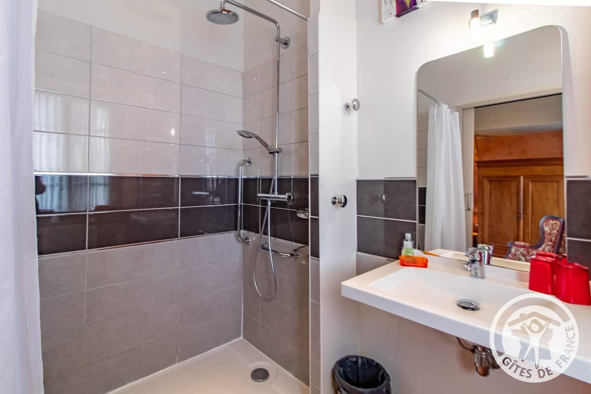 Une salle de bain avec une douche, un lavabo et un miroir.