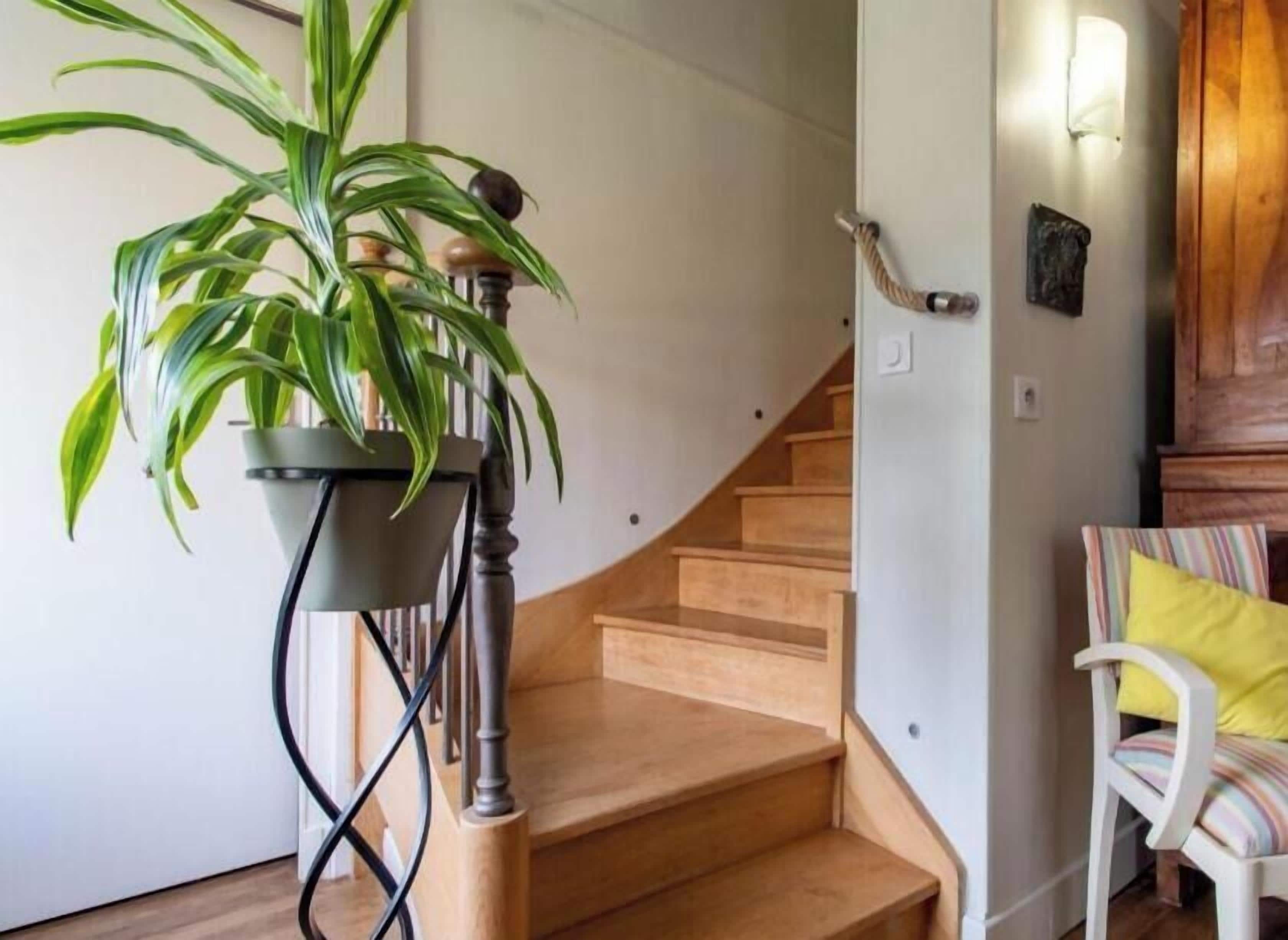 Un escalier avec une finition en bois, un pot de fleurs sur la gauche et une chaise avec un coussin jaune sur la droite.