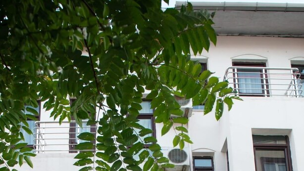 Front of property - Altun Life Hotel (Istanbul)