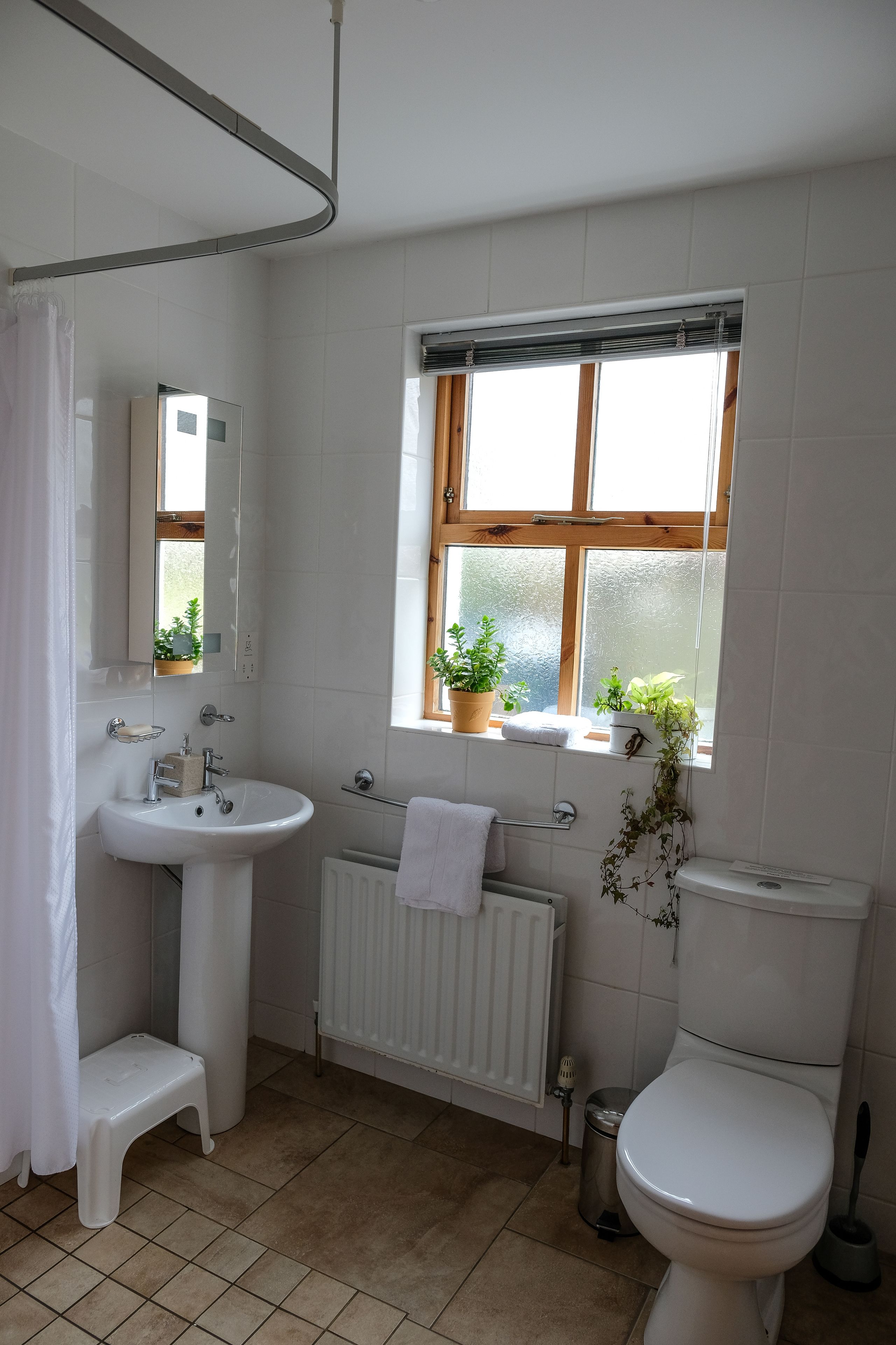 A bathroom with a white sink, toilet, and window with plants.