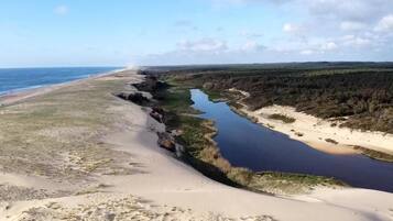 Eine Küstenlandschaft mit Fluss, Sandstrand und bewaldetem Gebiet.