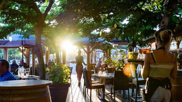 Un espace de restauration en plein air avec des tables et des chaises en bois, entouré de plantes en pot et d’arbres.