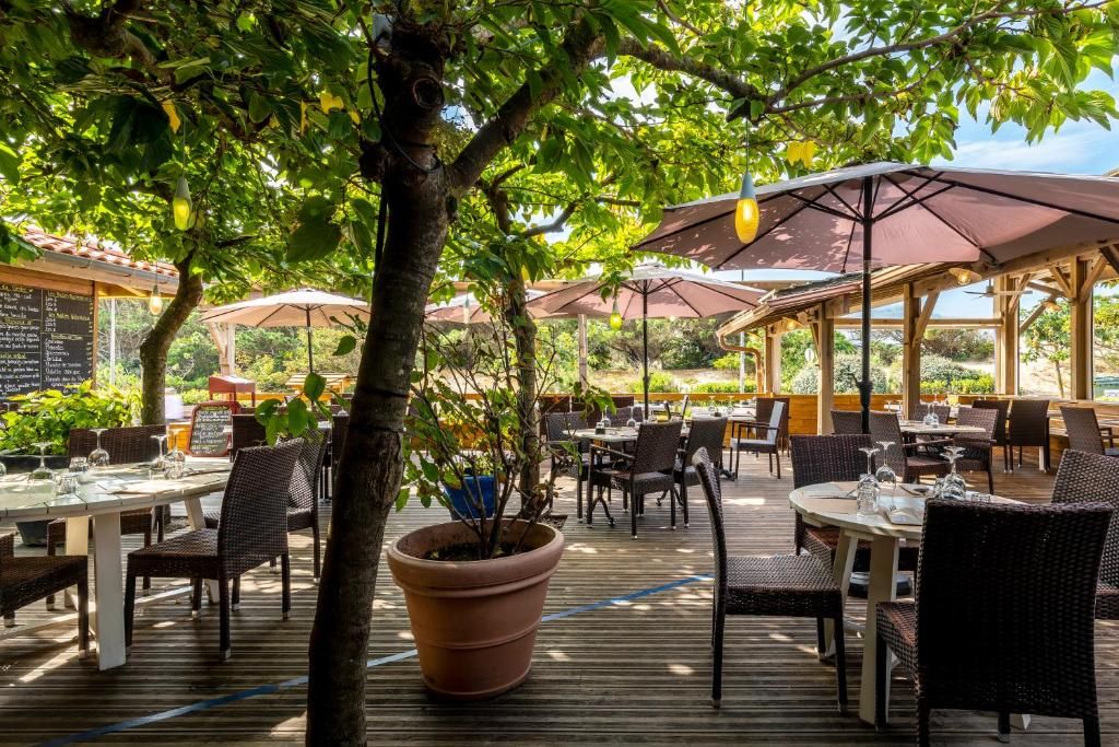 An outdoor dining area with tables and chairs, umbrellas, and potted plants.