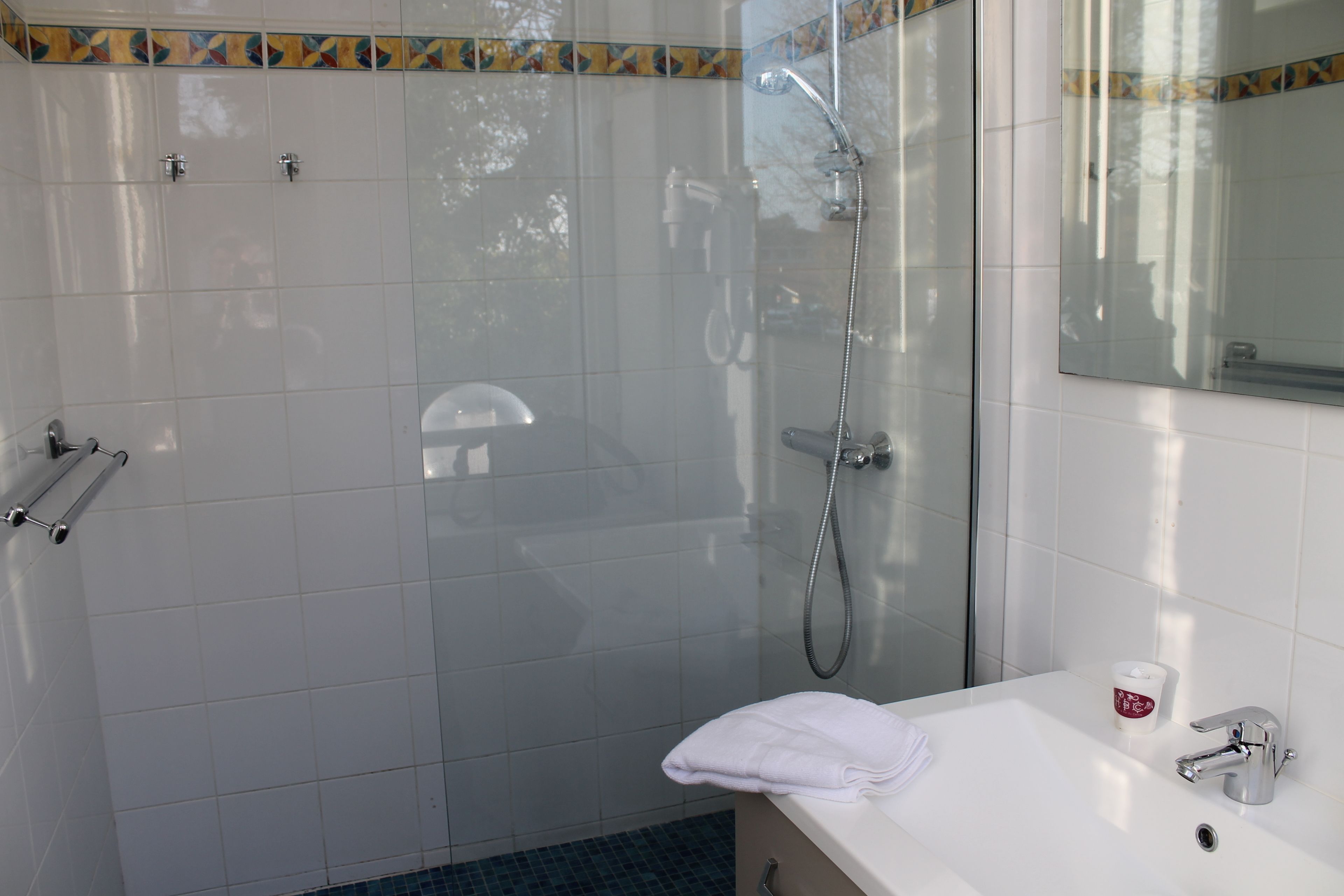 room (twin) | bathroom shower