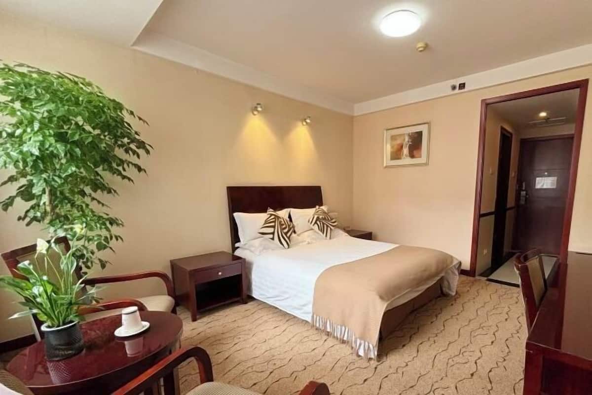 A hotel room with a bed, bedside tables, a potted plant, a desk, and a chair.