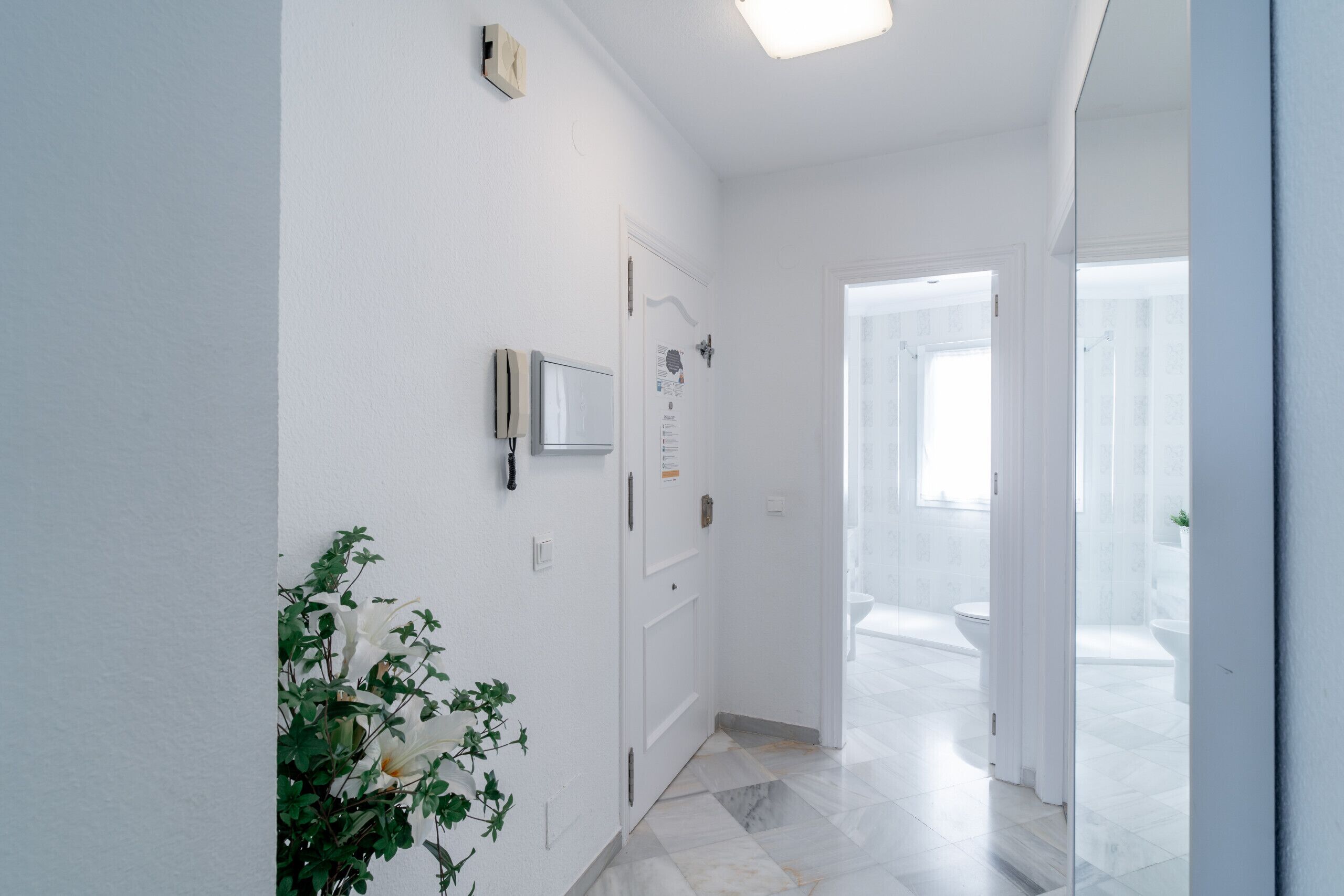 A hallway with white walls, a potted plant, a door with a mirror, and a tiled floor leading to a bathroom.