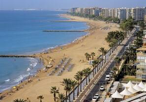 Ein Küstenstrand mit Reihen von Strandstühlen und Sonnenschirmen, eine Promenade gesäumt von Palmen und hohe Gebäude im Hintergrund.