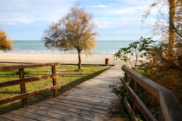 Playa en los alrededores 