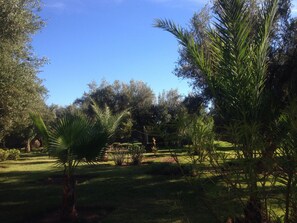 Terrein van de accommodatie