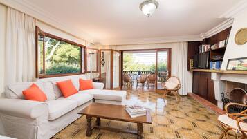 Een televisie, een open haard, een dvd-speler en een tafeltennistafel