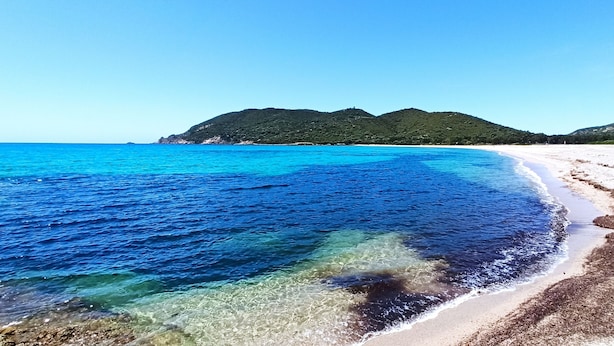 A beach with clear blue water, sandy shore, and green hills in the background. - Quiet apartment and grounds. Sea view and maquis (Cargèse)