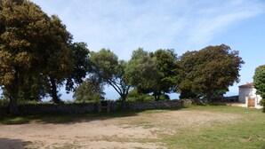 A grassy area with trees and a stone wall. - Quiet apartment and grounds. Sea view and maquis (Cargèse)
