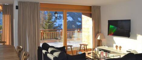 TV, fireplace, DVD player