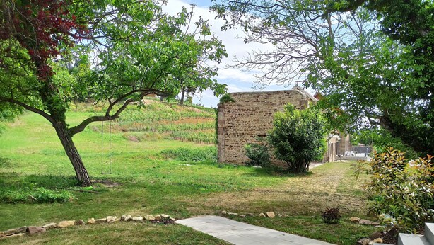 A stone building with a paved pathway leading to a grassy area with trees and shrubs. - Pretty cottage F2 of 50m ² independent in Rouffach (Rouffach)