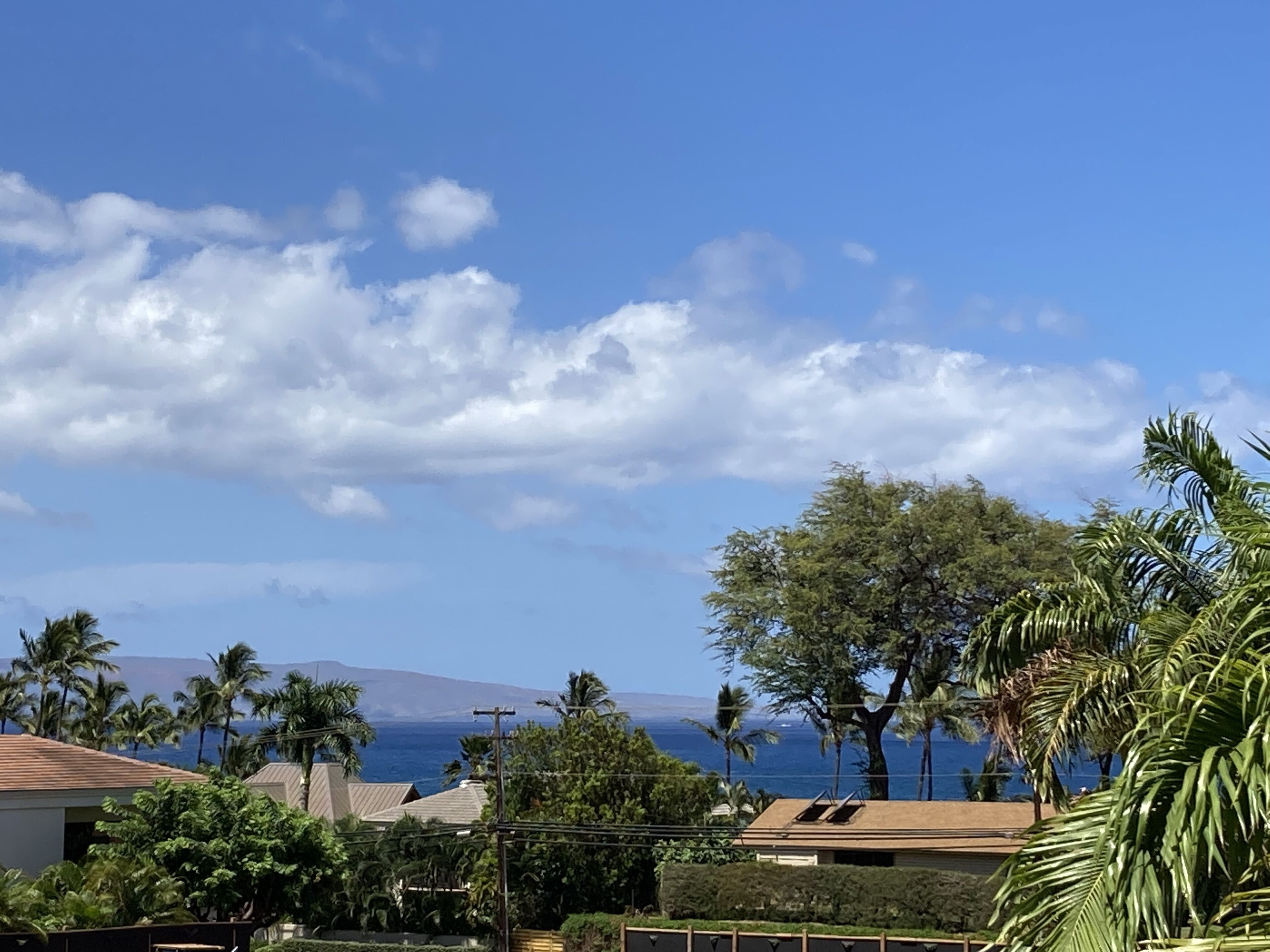 A coastal view with houses, palm trees, and a clear sky.