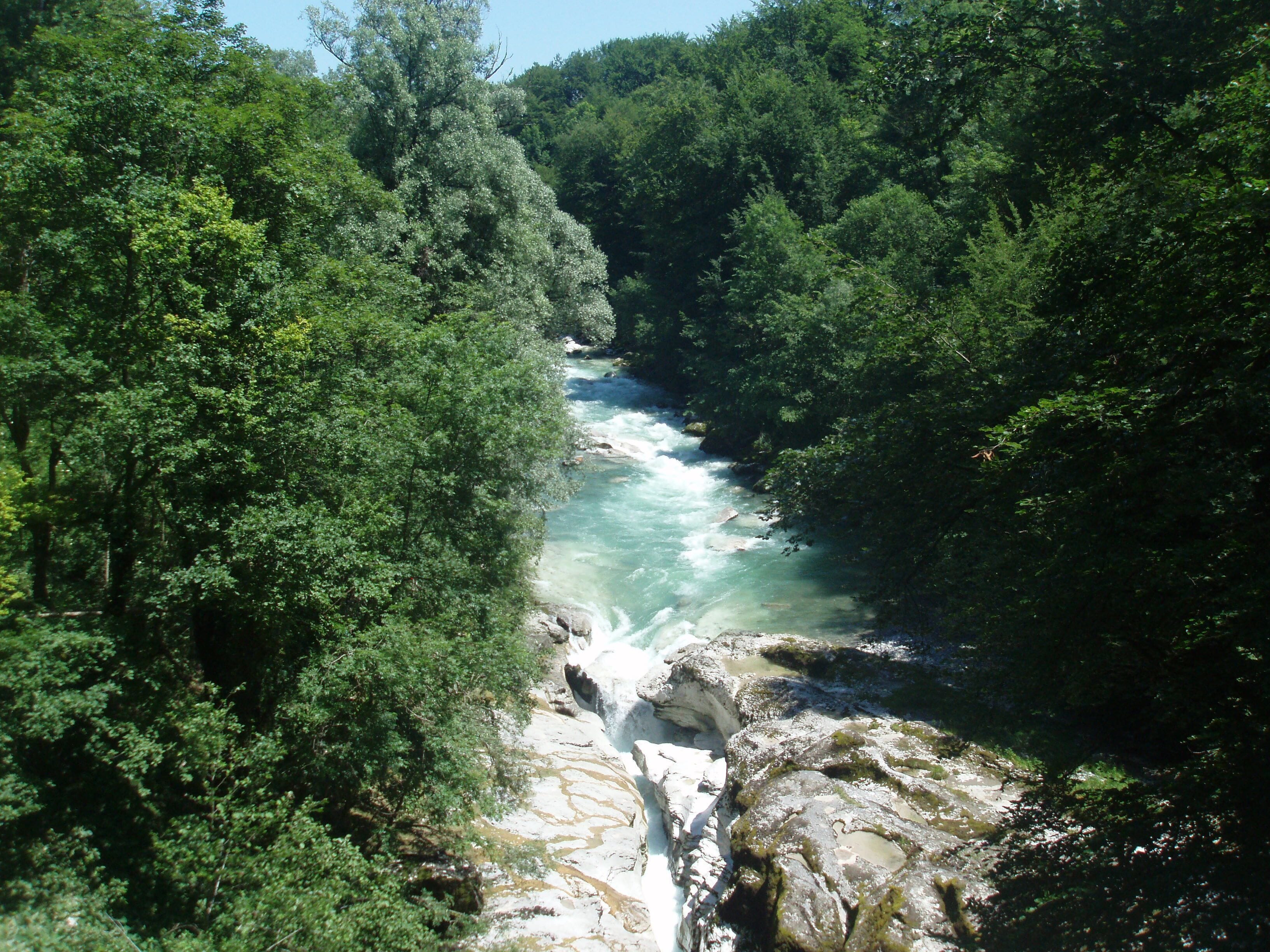 A river flowing through a forested area with rocky terrain.