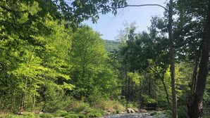 A picnic table set up by a river with a floral tablecloth and plates, surrounded by greenery and trees.